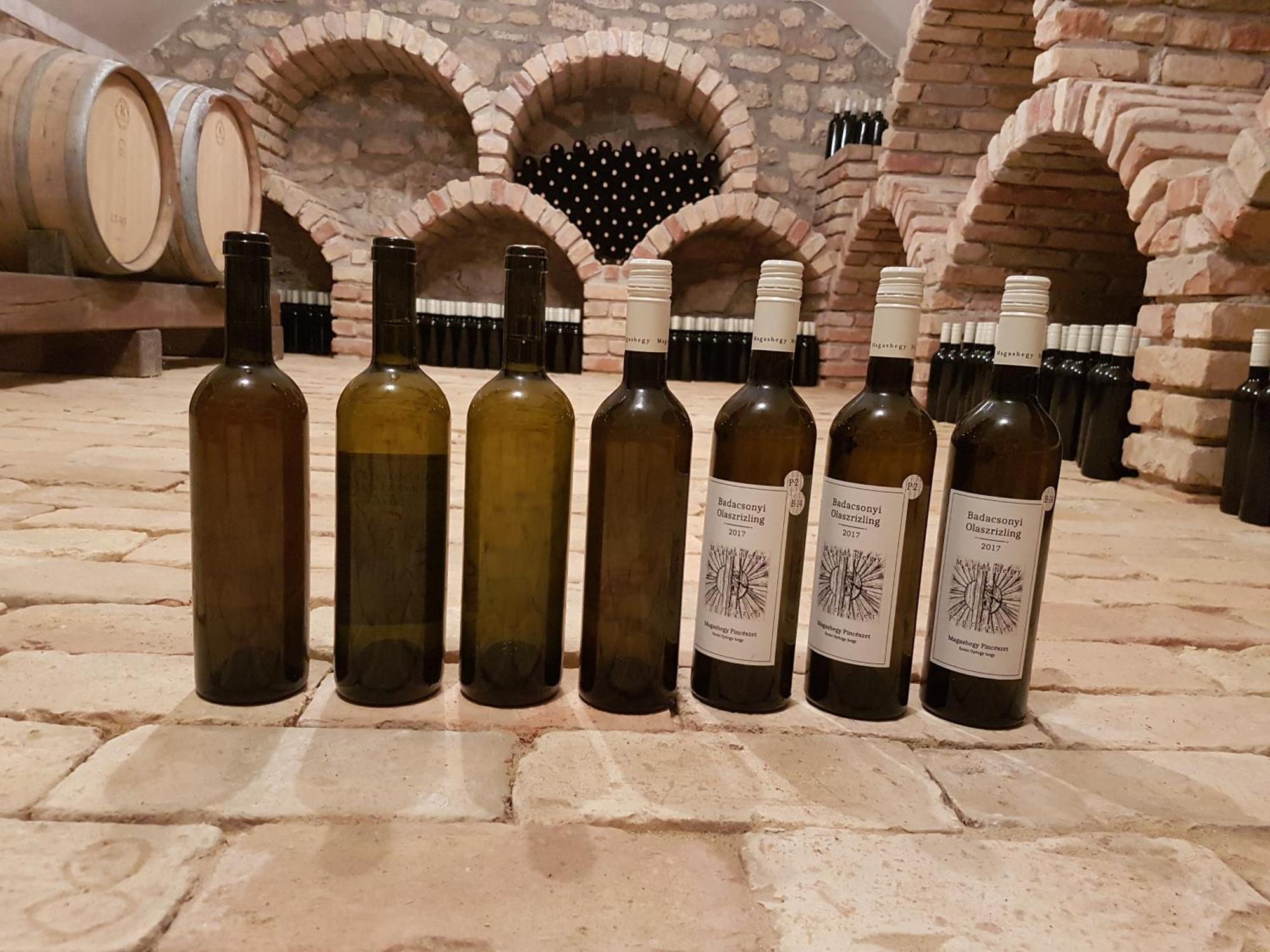 Hegymagas Grand Cru 3. Vendeghaz 빌라 외부 사진
